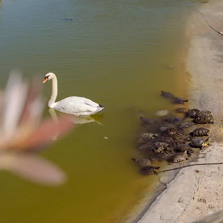 Monte Claro Guest house